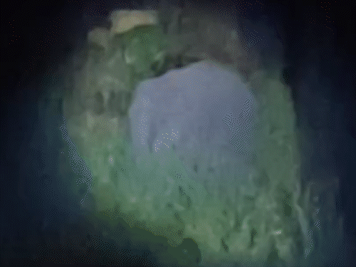 18 हाथियों ने उजाड़ी किसानों की मेहनत:रामगढ़ के कांकेबार में फसल किया बरबाद, रतजगा कर खेती बचाने की मजबूरी, वन विभाग बेपरवाह