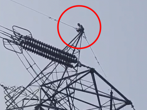 आज नो पेपर डे, पढ़िए नालंदा की 5 बड़ी खबरें:डीएम ने फहराया तिरंगा, शहर की बदली रही ट्रैफिक व्यवस्था; हाईटेंशन खंभे पर चढ़ा युवक