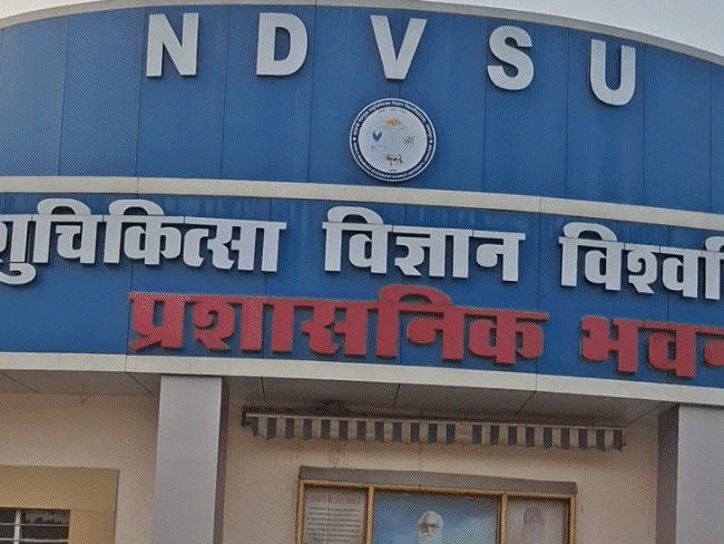 जबलपुर में पंचगव्य योजना में 3.5 करोड़ का घोटाला:इलाज के पैसे अधिकारियों ने घूमने-फिरने और गाड़ियां खरीदने में उड़ाए; कलेक्टर की जांच टीम का खुलासा