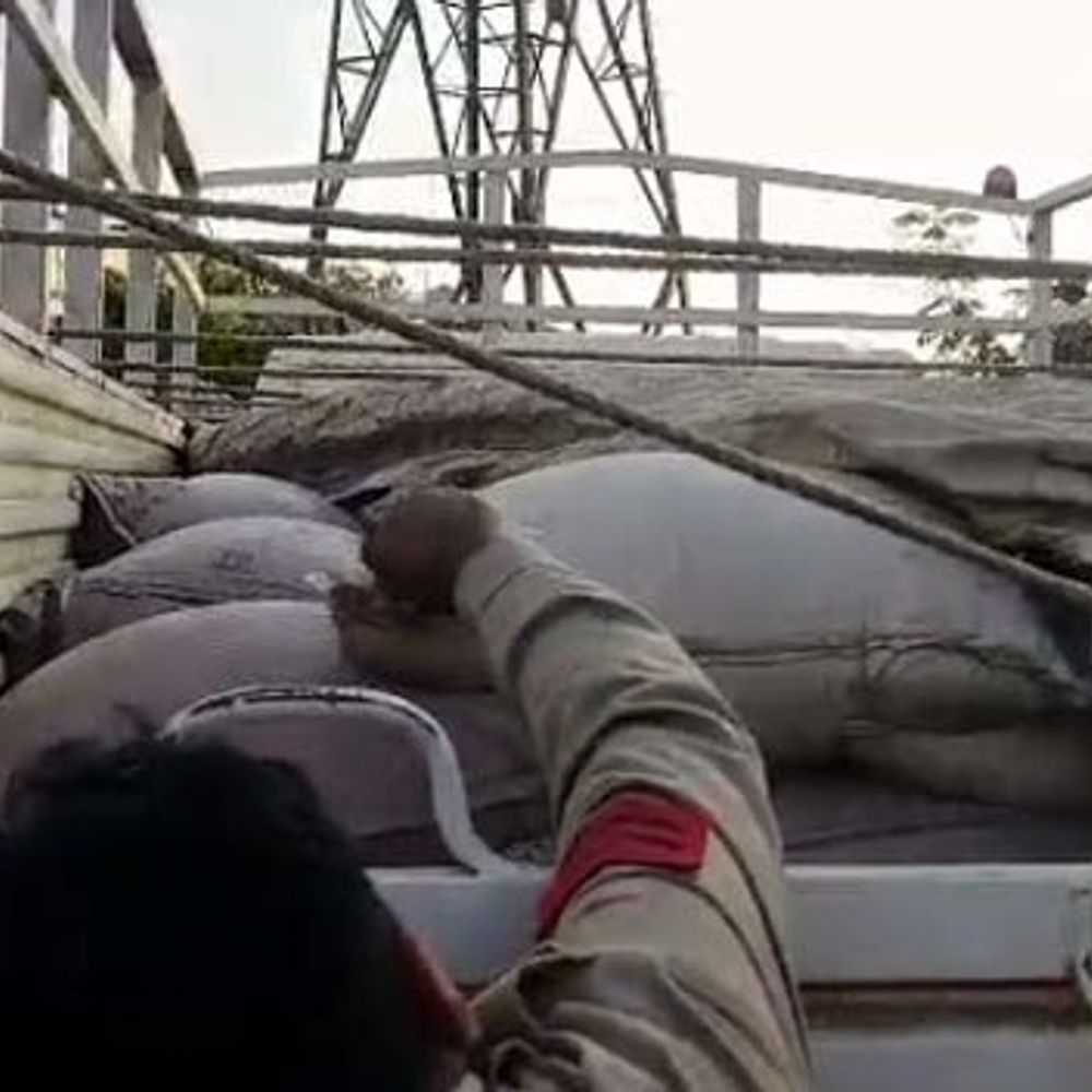 रायगढ़ में लावारिस हालत में मिला 99 हजार का धान:तालाब किनारे माजदा वाहन में लोड था, जांच में जूटी पुलिस