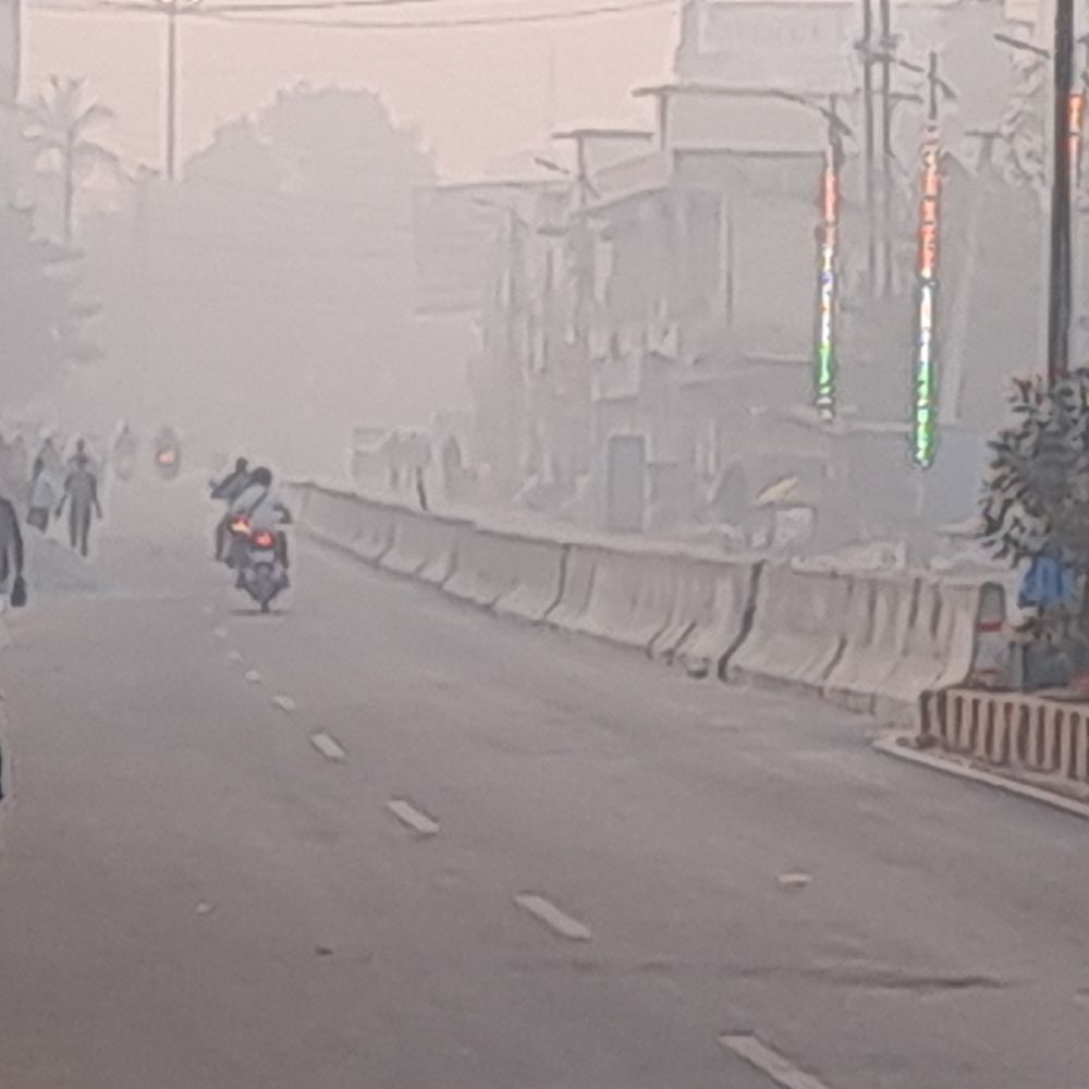 गोपालगंज में बदला मौसम का मिजाज:सुबह घना कोहरा और कड़ाके की ठंड, दिन में खिली तेज धूप, लोगों और फसलों को राहत