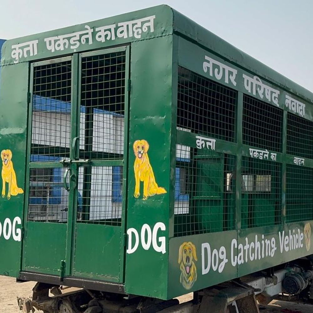 नवादा में आवारा कुत्तों के लिए ‘पकड़ो-देखभालो-छोड़ो’ अभियान शुरू:डॉग्स को पकड़ने के लिए वाहन-भवन तैयार, मानव के अनुकूल पाए जाने पर छोड़ देंगे