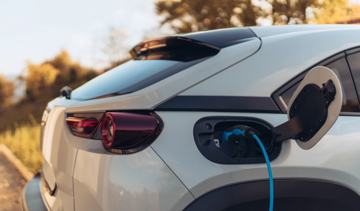 India की ‘मेक इन इंडिया’ पॉलिसी पर China का वार, EV PLI Scheme के खिलाफ WTO पहुंचा