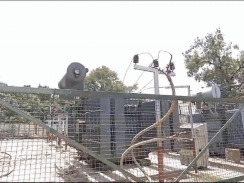 अयोध्या में बिजली व्यवस्था में बड़ा सुधार:वर्टिकल सिस्टम लागू, 4 हेल्पडेस्क से मिलेगा त्वरित समाधान