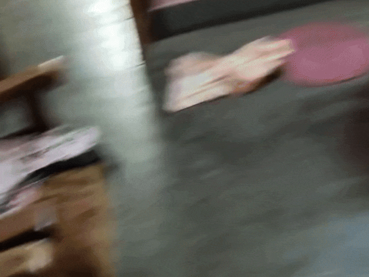 रीवा में एक ही मकान के दो घर बने निशाना:सूने मकान में किराएदार और मकान मालिक के यहां लाखों की चोरी