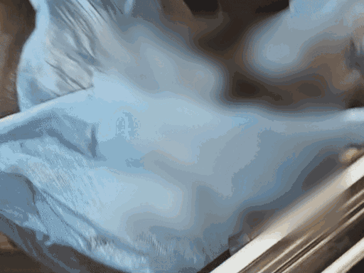 लुधियाना में शख्स की जली लाश का मामला अनसुलझा:5 दिन से पुलिस के हाथ खाली,2 टुकड़ों में शव, महिला का हत्याकांड भी अनट्रेस