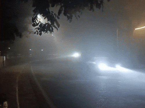 पंजाब में शीतलहर-घने कोहरे का ऑरेंज अलर्ट:16 जनवरी से बदलेगा मौसम, बारिश के साथ ओले गिरने की संभावना