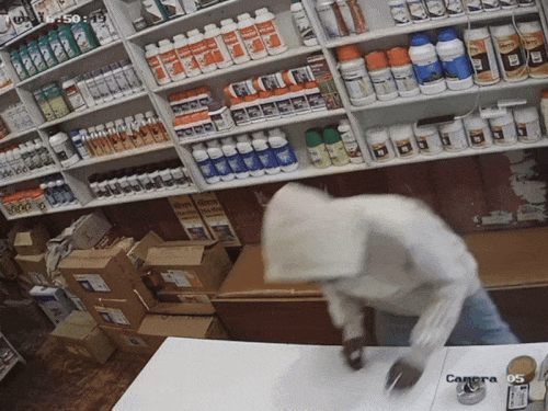 रतिया में बीज भंडार से 30 सेकंड में चोरी:गल्ले से कैश निकालकर ले गया युवक, दुकानदार ने जानकार पर जताया शक