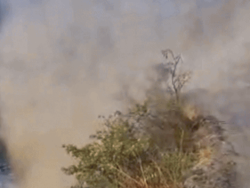 मंडी में पंडोह-गोहर रोड पर पहाड़ी से गिरा मलबा:बाल-बाल बची 15 सवारियां, बस ड्राइवर की सूझबूझ से टला हादसा