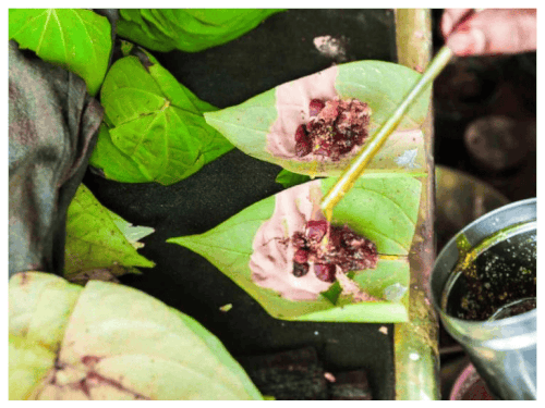 UP-दिवस पर लगेगा काशी की कचौड़ी-जलेबी और बनारसी-पान का स्टाल:लखनऊ में होगा आयोजन, ODOC का होगा चयन, तैयारियां पूरी