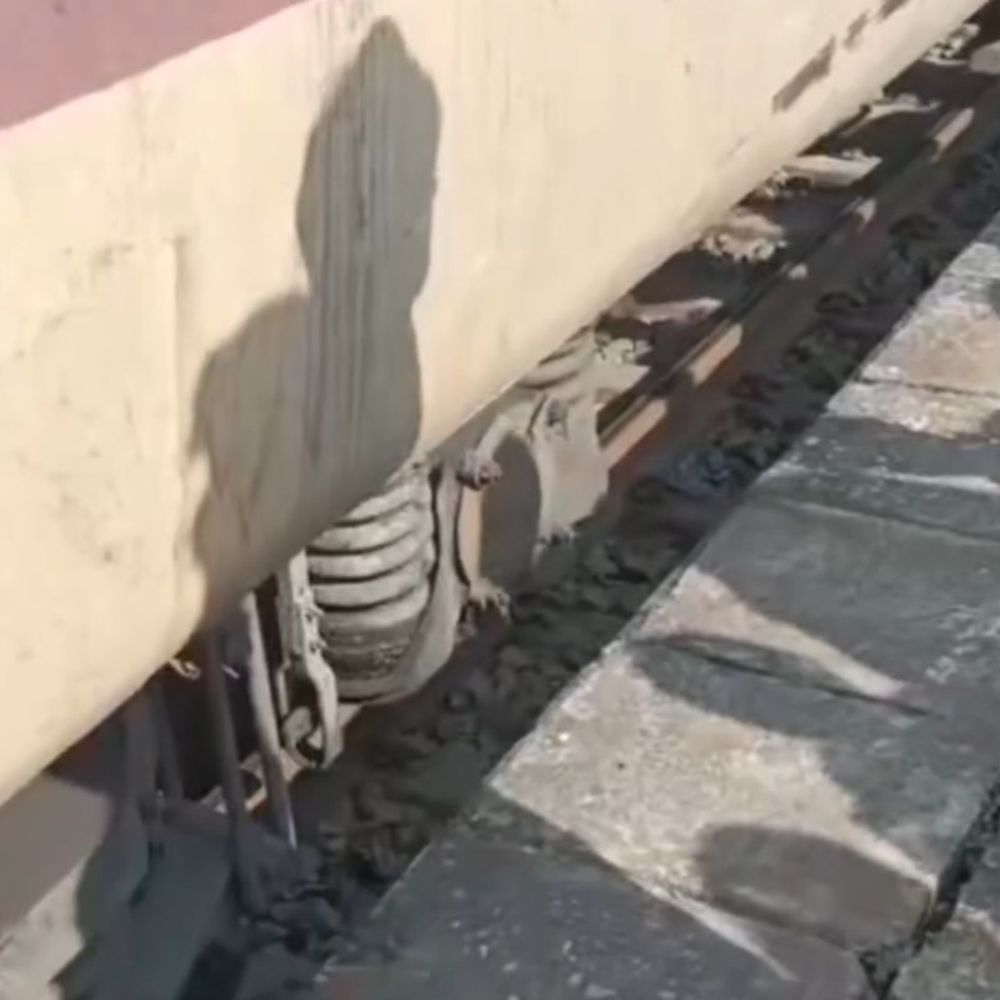 इंटरसिटी एक्सप्रेस के चक्के से निकला धुआं:किशनगंज के गलगलिया में रोकी गई ट्रेन, अधिकारियों ने की जांच