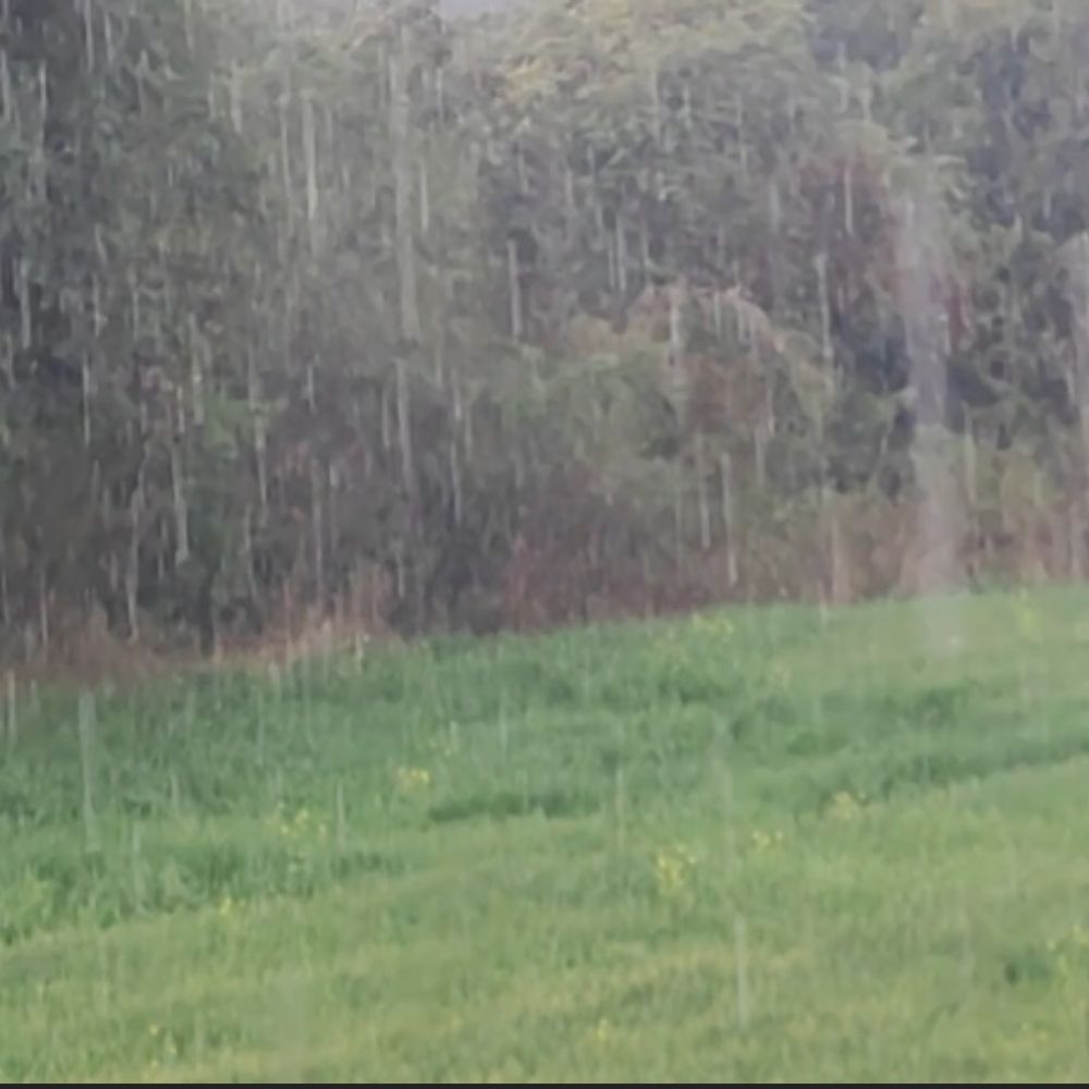 राजगढ़ में रुक-रुक कर बारिश से ठंडक बढ़ी:खिलचीपुर सहित आसपास के इलाकों में गिरा पानी; न्यूनतम तापमान 11.6 डिग्री दर्ज