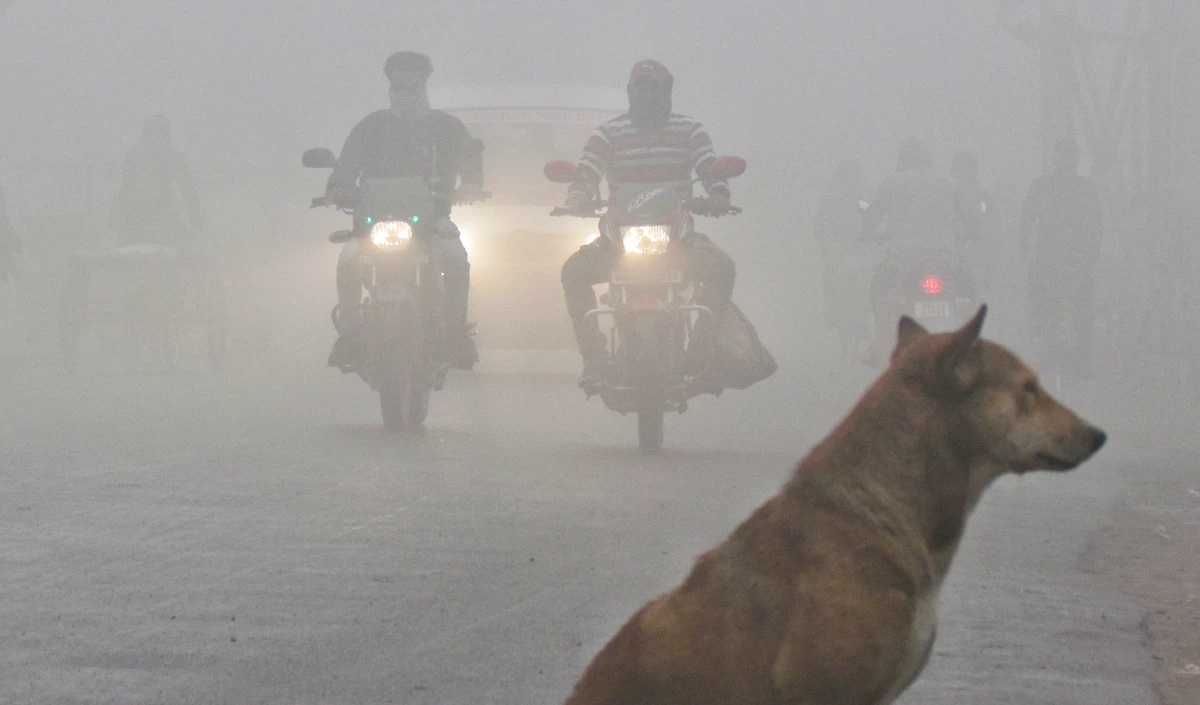 दिल्ली-NCR में ‘ट्रिपल अटैक’!! घने कोहरे, कड़ाके की ठंड और जहरीले प्रदूषण ने बढ़ाई मुसीबत, उड़ानें और ट्रेनें प्रभावित