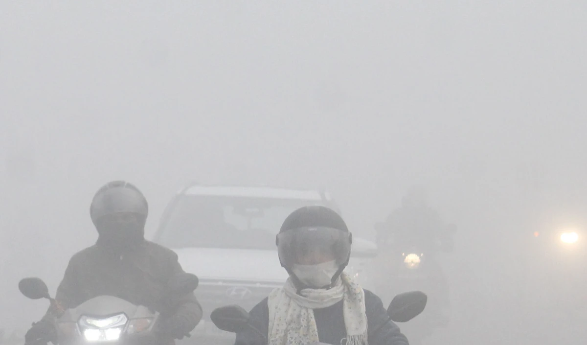 Rajasthan में कड़ाके की सर्दी, अनेक इलाकों में घना कोहरा