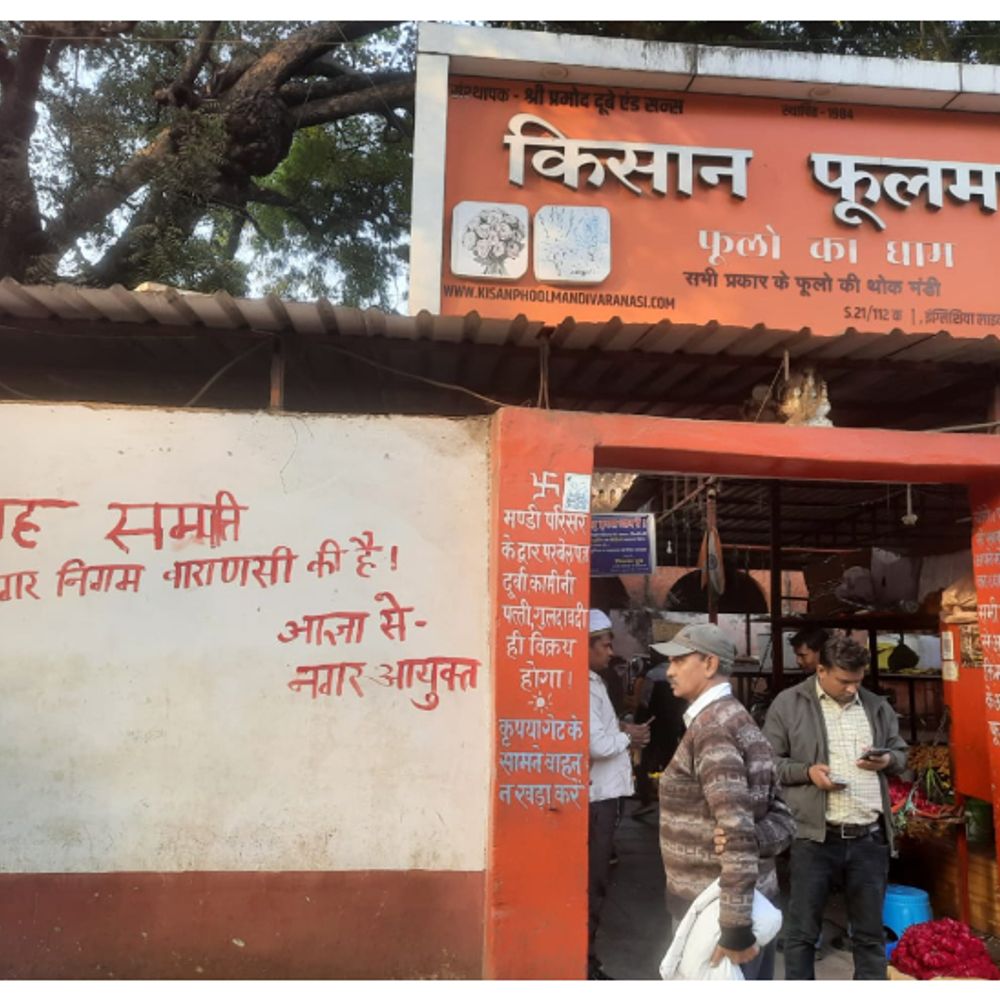 किसान फूलमंडी में किराया देकर कारोबार कर सकेंगे फूल-विक्रेता:नगर निगम ने अवैध कब्जाधारकों को हटाया, पीला कार्ड किया निरस्त