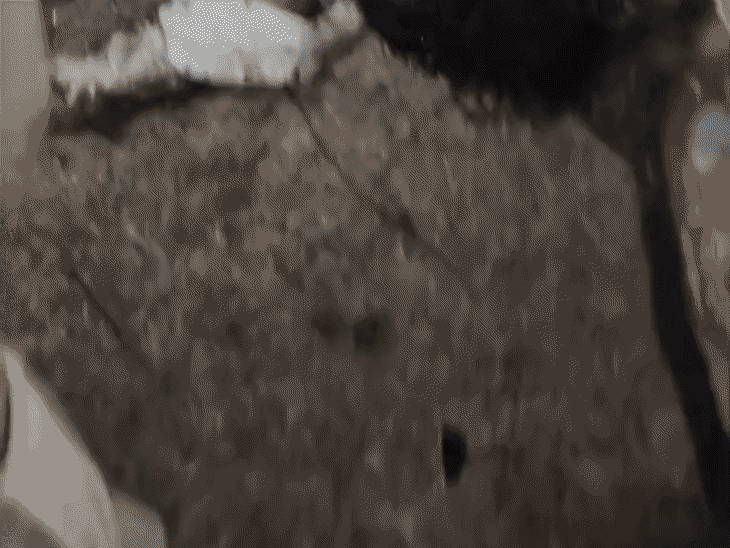 अशोकनगर-गुना रोड पर चार्टर्ड बस ने कार को मारी टक्कर:दो गंभीर घायल, भोपाल रेफर; कार बुरी तरह क्षतिग्रस्त