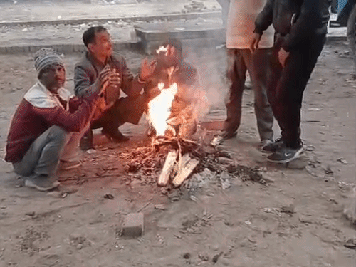 गीली लकड़ी देने पर लगा 50 हजार जुर्माना:नगर आयुक्त को मिली थी गड़बड़ी, दुबारा शिकायत पर फर्म होगी ब्लैक लिस्टेड