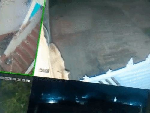 जालौन में घुसे जंगली जानवर, VIDEO:ग्रामीणों में दहशत, CCTV में तेंदुए जैसे दिख रहे, वन विभाग कर रहा तलाश