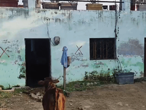 जिन्होंने दिया भाजपा को वोट, उनके घरों पर चलेगा बुलडोजर:नगर निगम की 300 घरों को आखिरी मोहलत, अधिकारी बोले-खुद तोड़ो घर वरना देना होगा बुलडोजर का खर्च