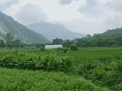 कुमाऊं में सूखे की मार, पर्वतीय जिलों में स्थिति गंभीर:100 दिन से नहीं बरसे बादल, 15 दिन में बारिश नहीं हुई तो फसल हो जाएंगे बर्बाद