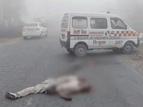 यूपी और राजस्थान में घना कोहरा, कई गाड़ियां टकराईं:उत्तराखंड स्विट्जरलैंड से 10 गुना ज्यादा सर्द, हिमाचल में शीतलहर से सर्दी बढ़ी