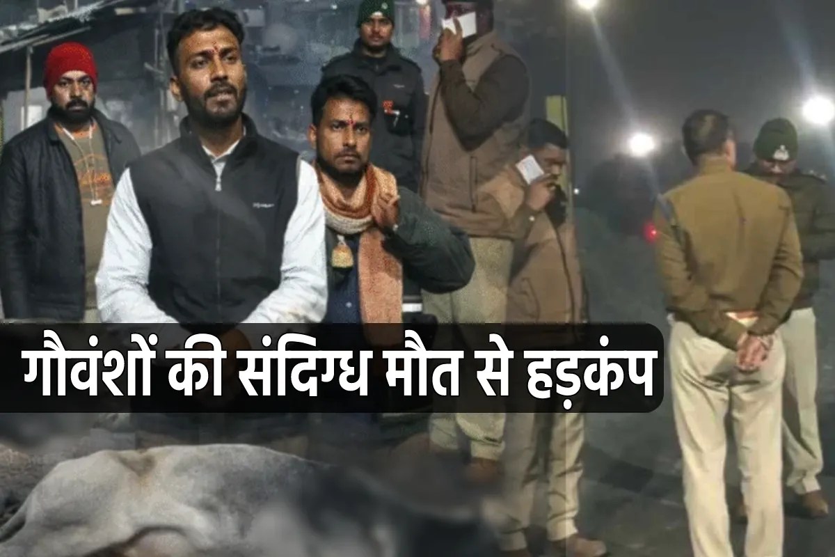 इंदौर के बाद एमपी के एक और शहर में दूषित पानी का कहर, यहां 8 से ज्यादा गौवंशों की तड़प-तड़प मौत