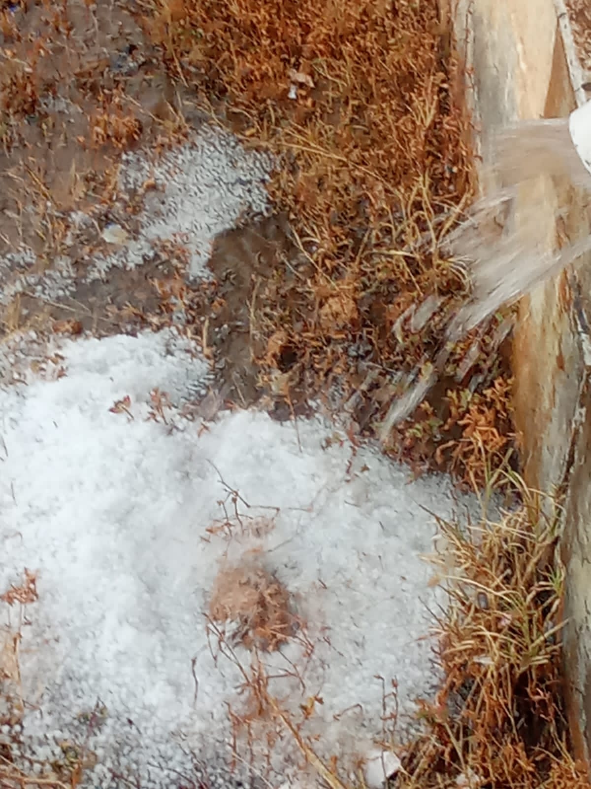 Hailstorm Alert: 31 जनवरी को राजस्थान के 14​ जिलों में ओलावृष्टि, 3 जिलों में 40-50 किलोमीटर प्रति घंटे रफ्तार से हवाएं