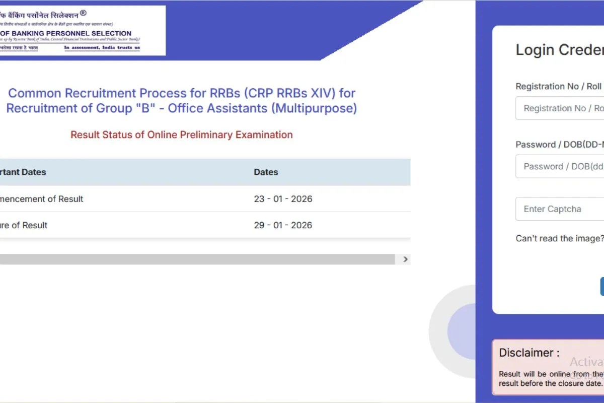 IBPS RRB Clerk Result जारी, सीधे इस लिंक से चेक करें परिणाम, जान लें आगे का प्रोसेस