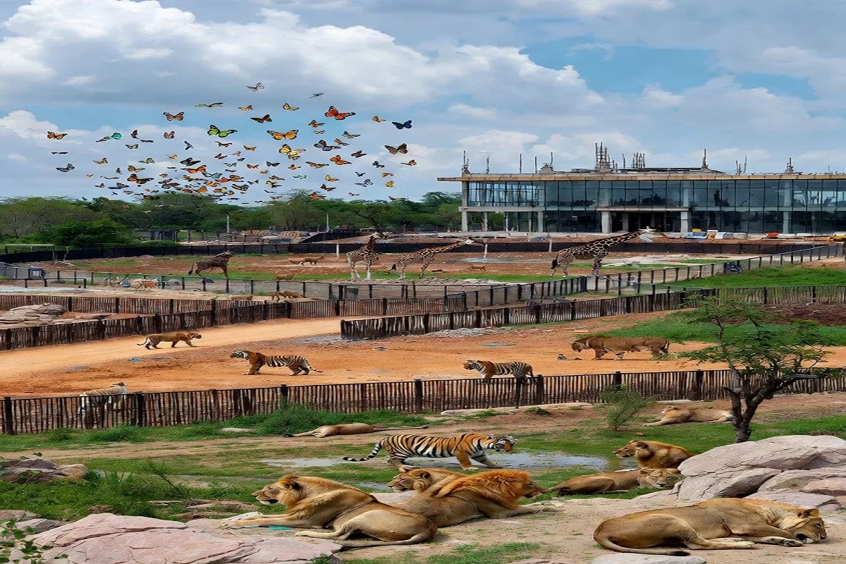 अलवर में बनेगा एनसीआर का सबसे बड़ा बायोलॉजिकल पार्क