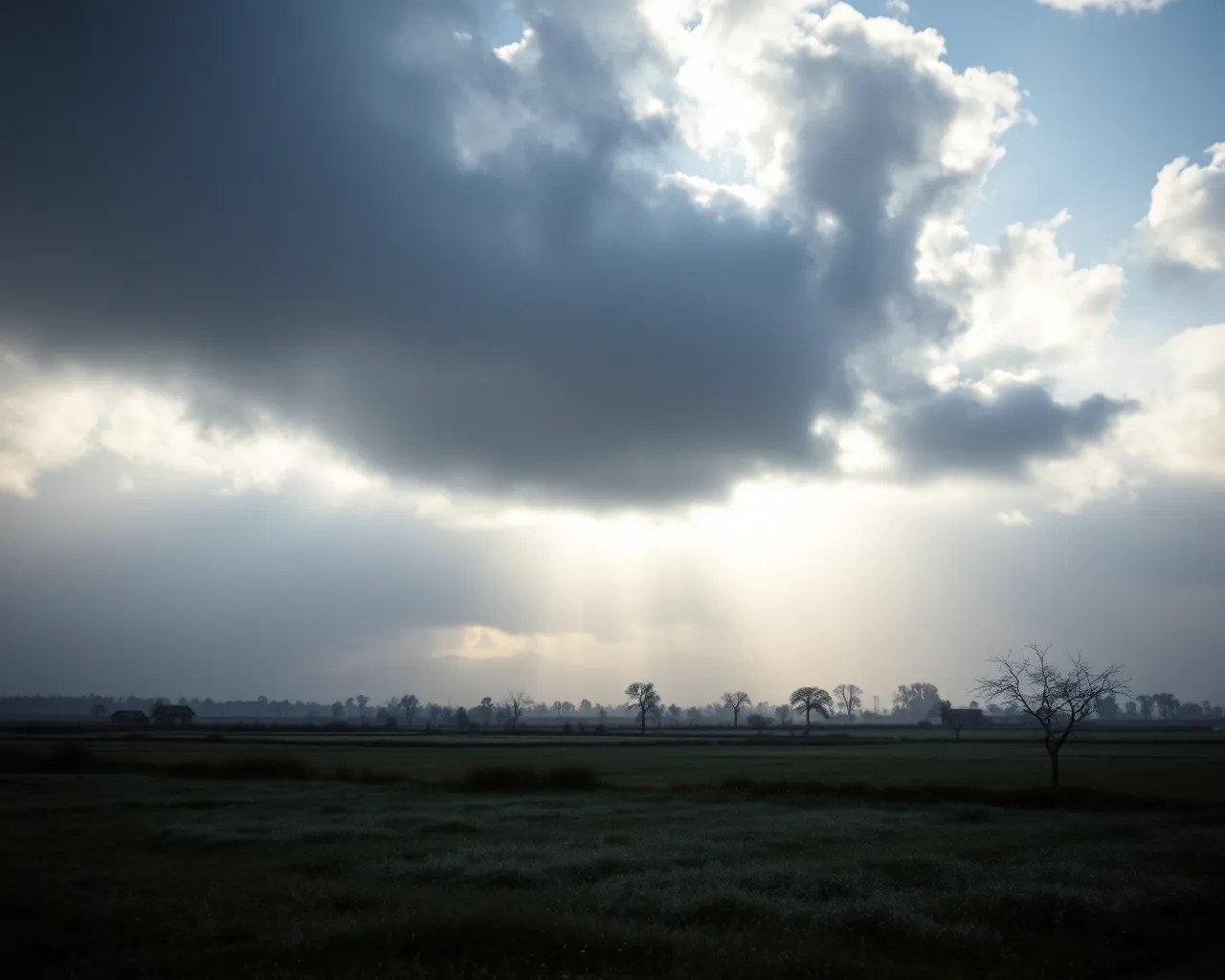 बादलों की दस्तक, फिर लौटेगी सर्दी, 25 से कोहरा छाने की संभावना, क्योंकि हवा में आ रही नमी