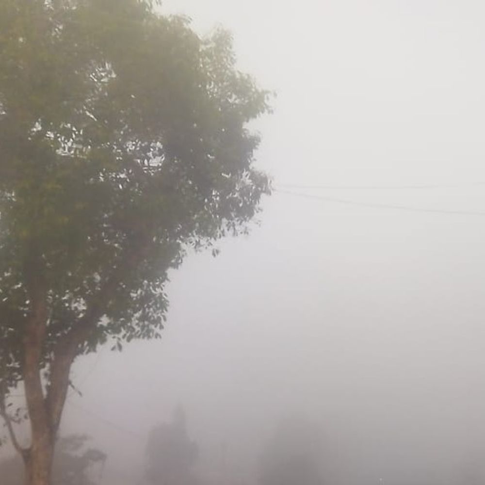 छिंदवाड़ा में न्यूनतम तापमान 15 और अधिकतम 26 डिग्री दर्ज:सुबह धुंध, दिन में धूप; कड़ाके की ठंड से मिली राहत