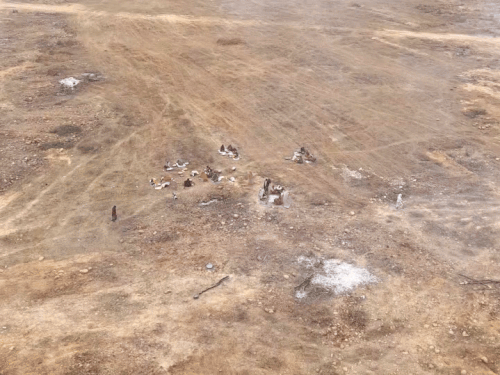 धीरेंद्र शात्री की कथा में 5 लाख लोग शामिल होंगे’:500 बीघा जमीन चिन्हित,100 बीघा में बनाया जा रहा पांडाल, मंत्री दिलावर बोले, आयोजन का उद्देश्य ‘गौ माता’ को बचाना