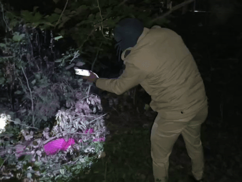 भीलवाड़ा में कलेक्ट्री के पीछे मिली महिला की लाश:सड़ी-गली हालत में मिला शव एक महीने पुराना होने की आशंका