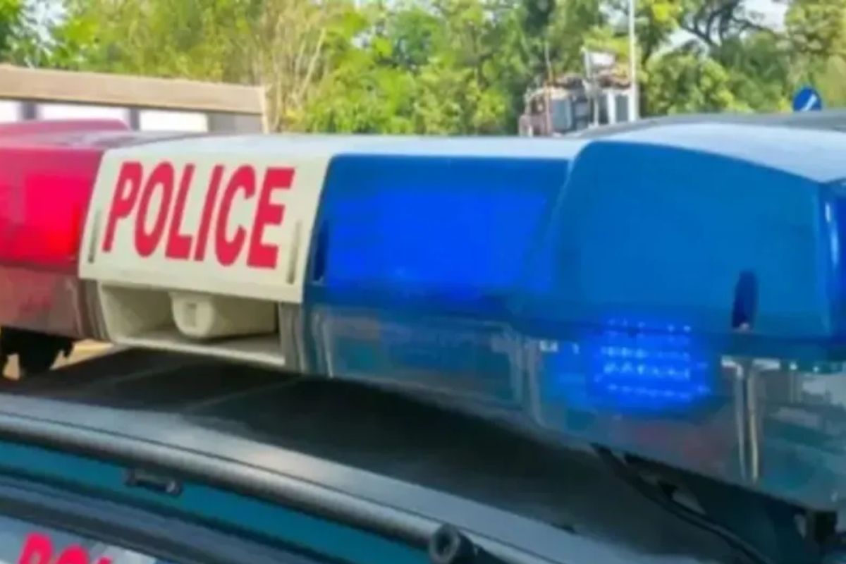 गत्ते के गोदाम में भीषण आग, मची अफरा तफरी, लाखों का सामान जलकर राख