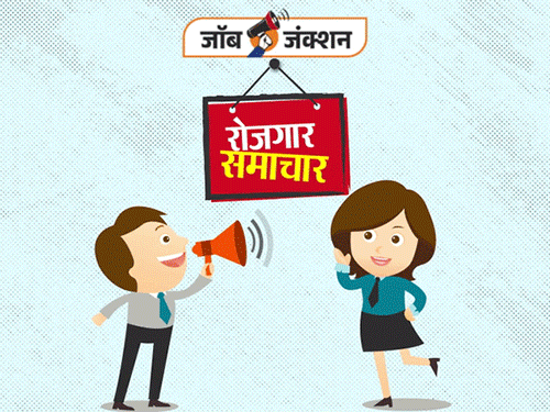 भागलपुर में बेरोजगार युवाओं के लिए सुनहरा मौका:15 जनवरी को जॉब कैंप लगेगा, प्राइवेट सेक्टर में रोजगार मिलेगा