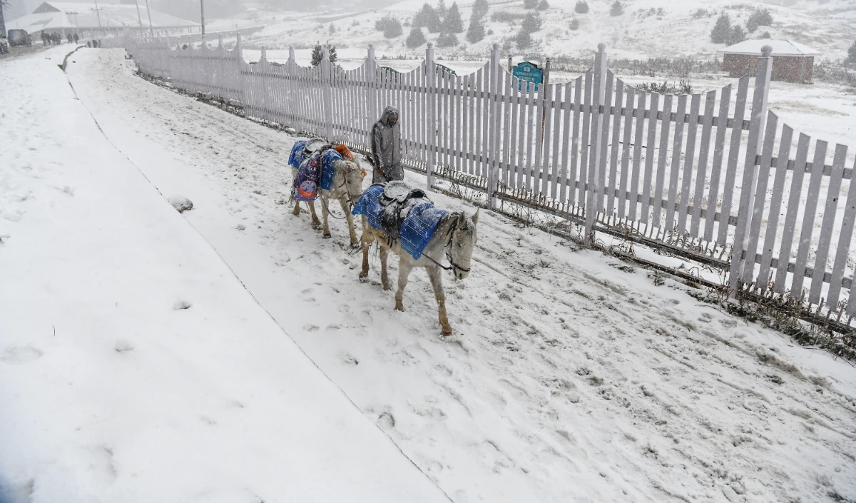 Kashmir Valley | कश्मीर में शीतलहर से थोड़ी राहत मिली, ‘चिल्ला-ए-कलां’ का दौर अब भी जारी