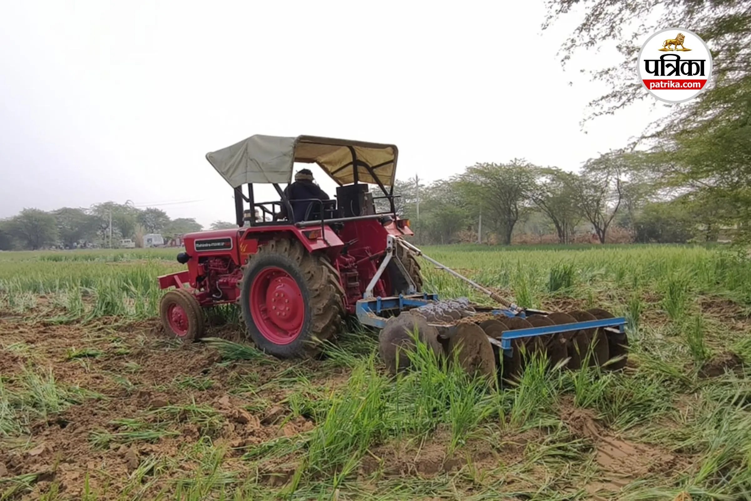 Jhunjhunu News: काटली नदी क्षेत्र में अवैध खेती पर कार्रवाई, 350 बीघा पर जेसीबी व ट्रैक्टर चलाया