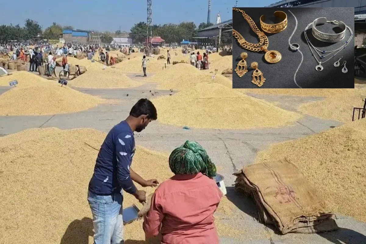 एक दिन में 1,20000 कृषि जिसों के कट्टे की आवक, सोयाबीन-चना-उड़द बेस्ट हो गया महंगा, सोना-चांदी में भी तेजी