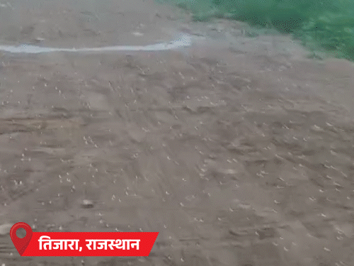 राजस्थान के 20 जिलों में कोहरे-शीतलहर का अलर्ट:उत्तराखंड के पिथौरागढ़-रुद्रप्रयाग में पारा -21°C; MP में रात के साथ दिन भी ठंडे