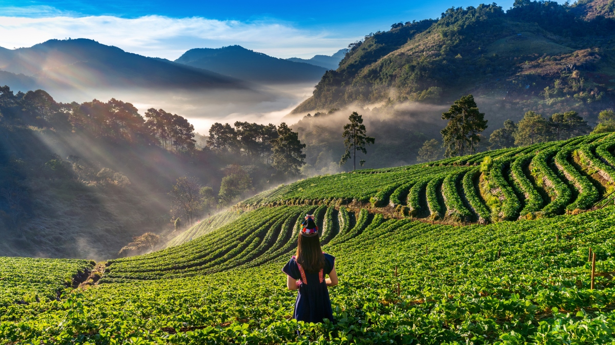 स्ट्रेस बस्टर साबित होगी ये खूबसूरत जगह, लॉन्ग वीकेंड पर बनाएं घूमने का प्लान, प्रकृति के बीच बिताएं समय
