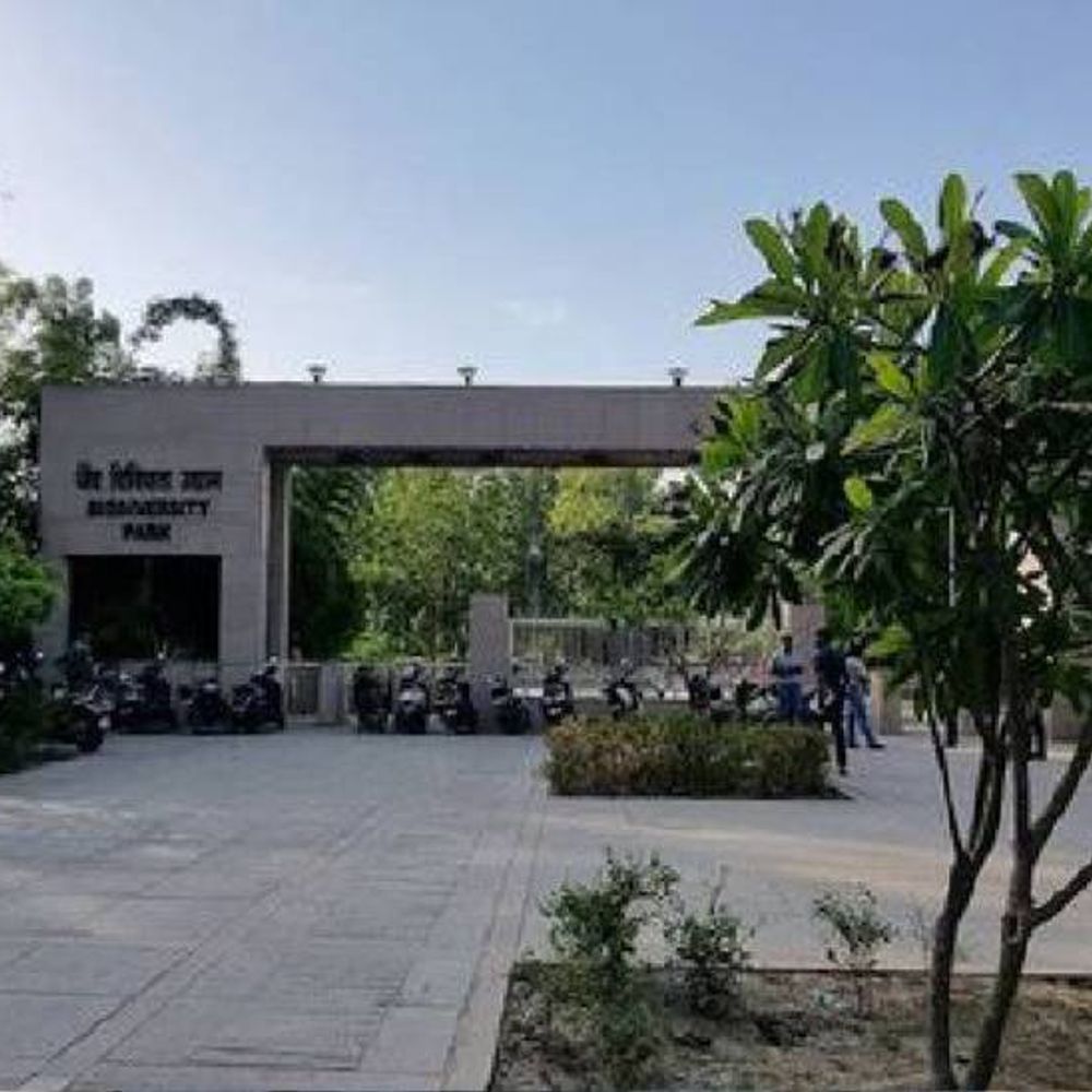 डियर पार्क में नियुक्त किए जाएंगे मेडिकल ऑफिसर:10 प्रजातियों के 132 हिरण को लाया जाएगा, इलाज और वातावरण के प्रति बनाएंगे अनुकूल