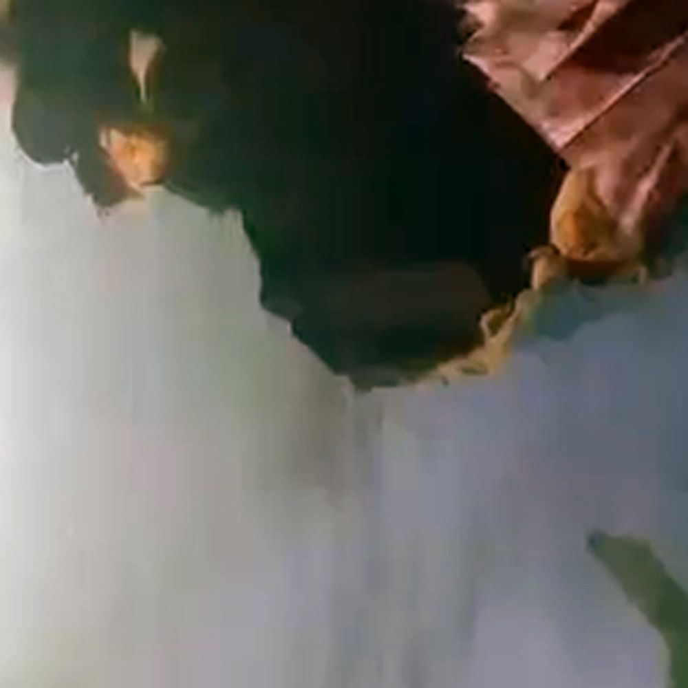 पश्चिमी सिंहभूम के दामोदरसाई गांव में जंगली हाथी का हमला:घर की दीवार तोड़ी, अनाज बर्बाद; ग्रामीणों में दहशत