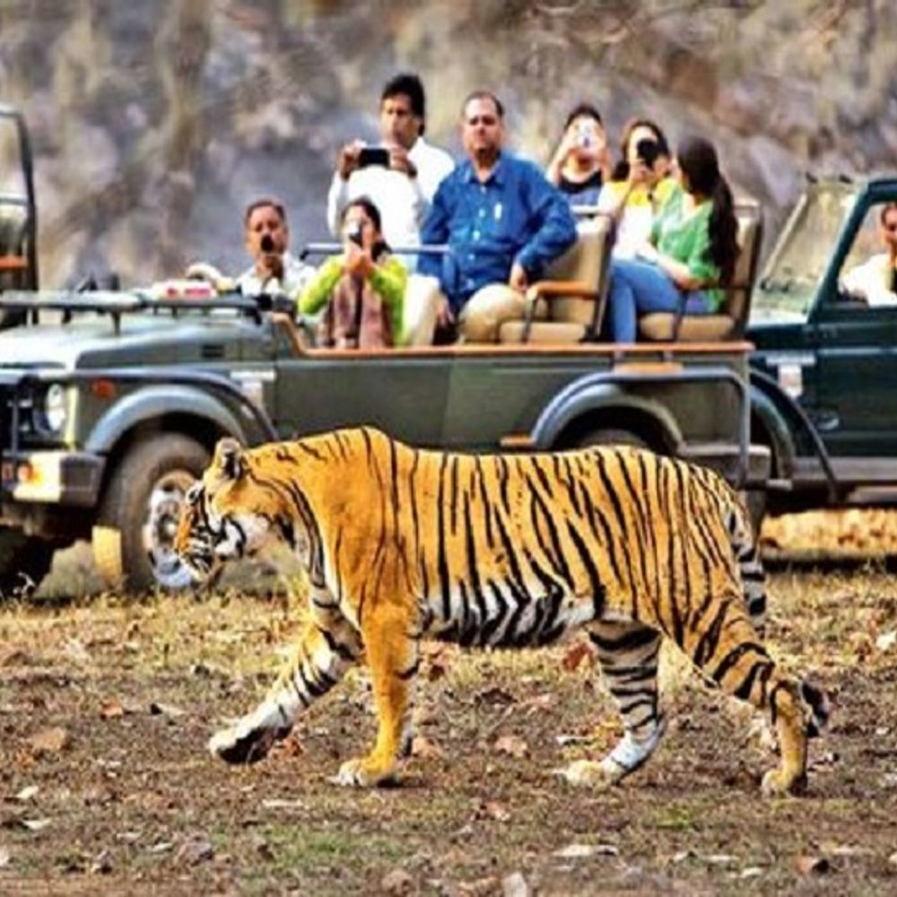 राष्ट्रीय पर्यटन दिवस:दो साल में ओरछा, मांडू, सतपुड़ा भी होंगे विश्व धरोहर; 15 कतार में