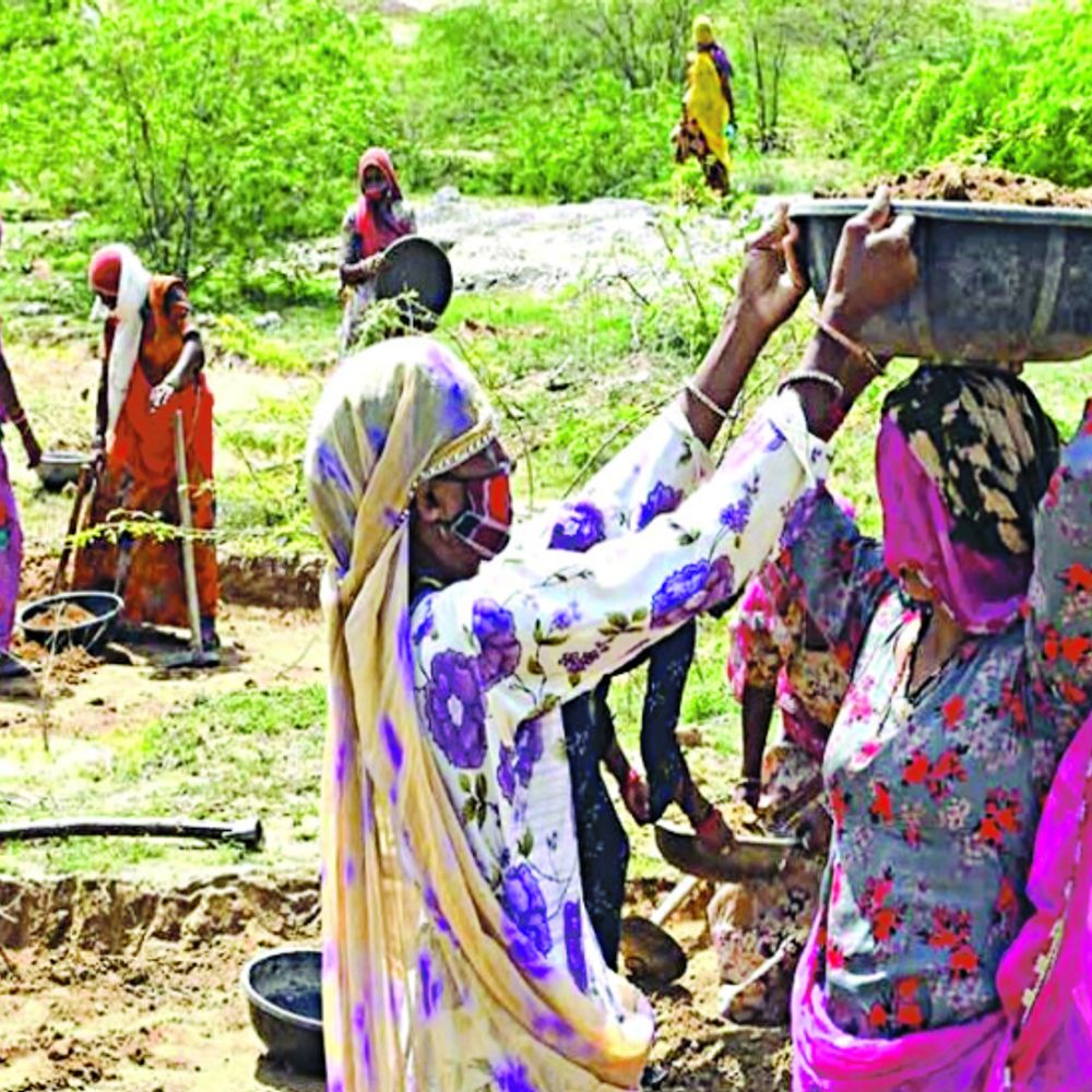 केंद्र की रिपोर्ट:प्रदेश में मनरेगा से रोजगार पाने वालों में 70 प्रतिशत महिला श्रमिक आदिवासी बहुल जिले आगे, पश्चिमी जिलों में कम भागीदारी