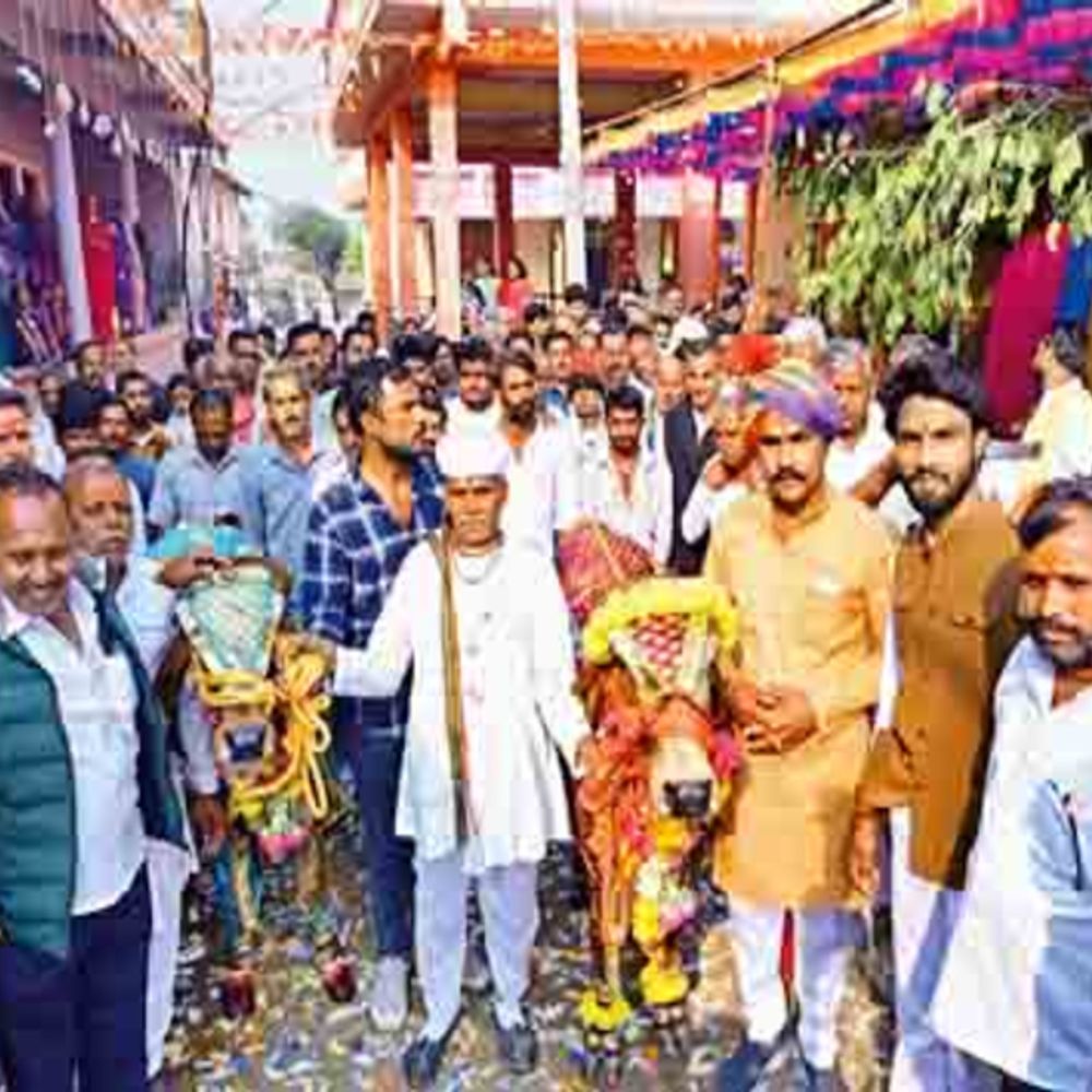 वसंत पंचमी पर हुआ अनूठा विवाह…:बेटी की तरह पाली गाय लक्ष्मी का नंदी पूर्णा से वैदिक रीति से हुआ विवाह