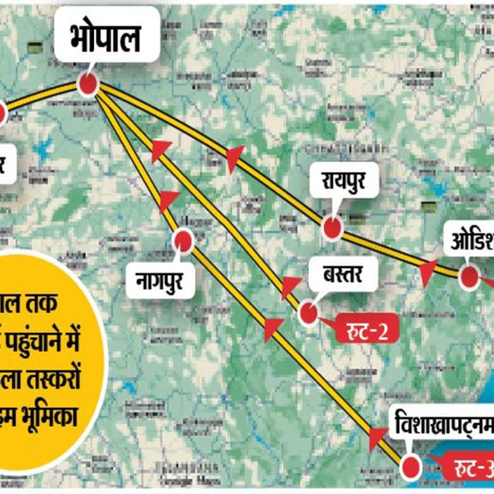 ड्रग तस्करी का नया चेहरा…:नेटवर्क-गैंग संभाल रहीं लड़कियां; 5 बड़ी तस्कर वांटेड