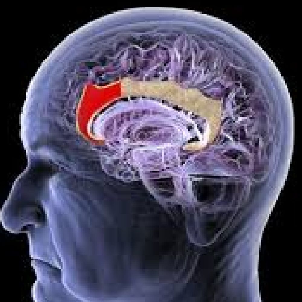 चीन वैज्ञानिकों का दावा-अल्ट्रासाउंड से डिप्रेशन-अल्जाइमर का इलाज:बिना सर्जरी पढ़ा जा सकेगा इंसानी दिमाग, चिप लगाने की जरूरत नहीं