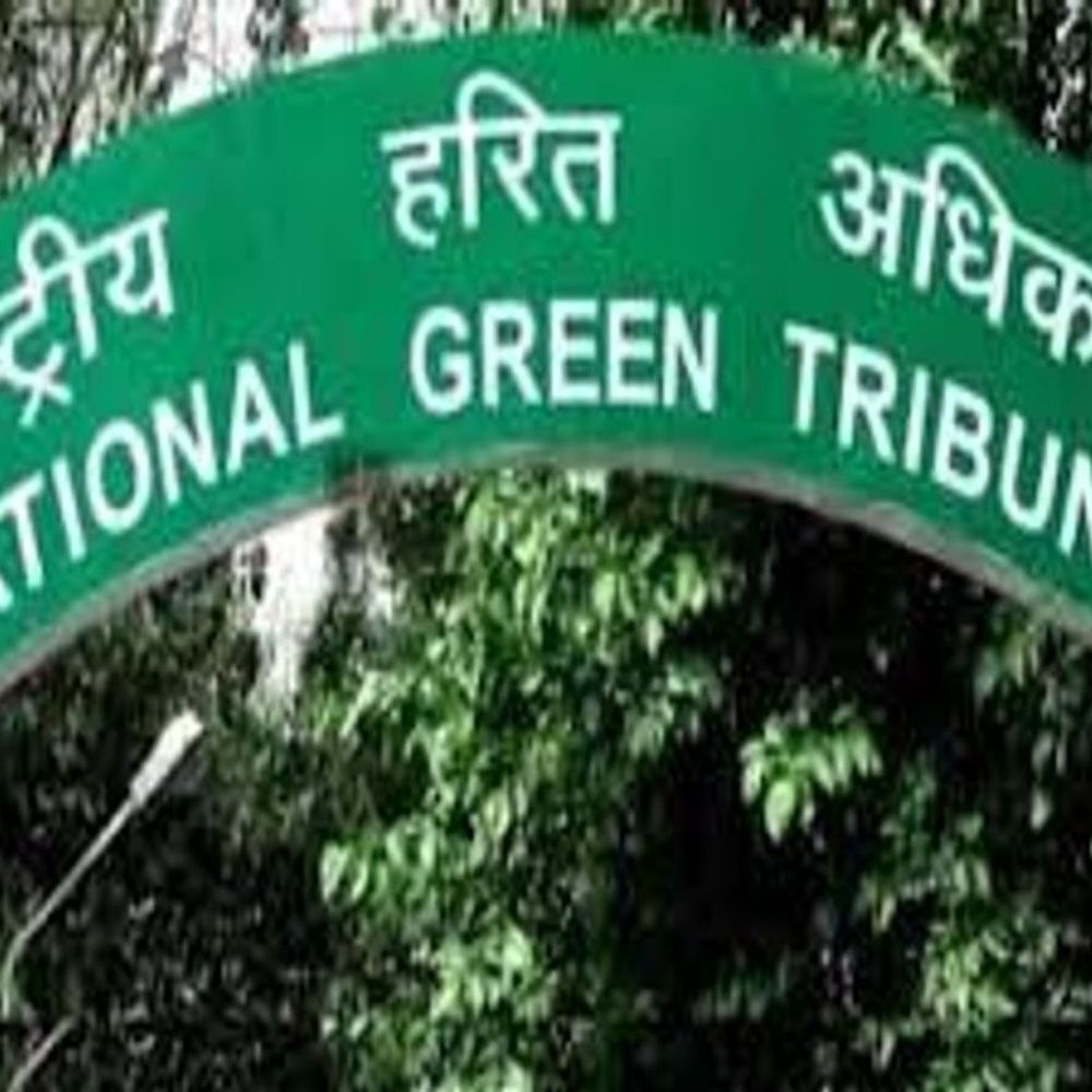 एनजीटी:नर्मदा के फ्लड जोन से हटाएं निर्माण और डेयरियां