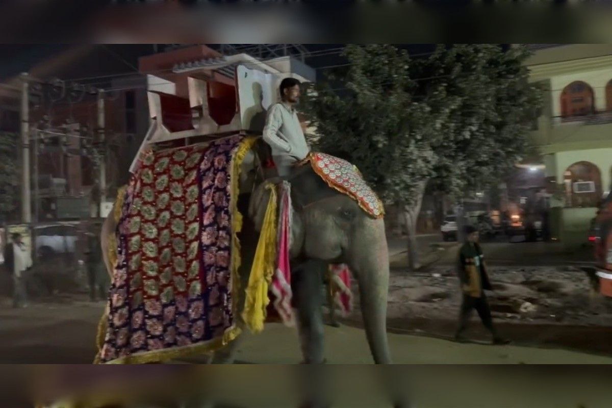 बुजुर्ग की हाथी पर निकली शवयात्रा, गाड़ियां लोहार समाज के लोगों ने मिलकर उठाया 3 लाख का खर्च 