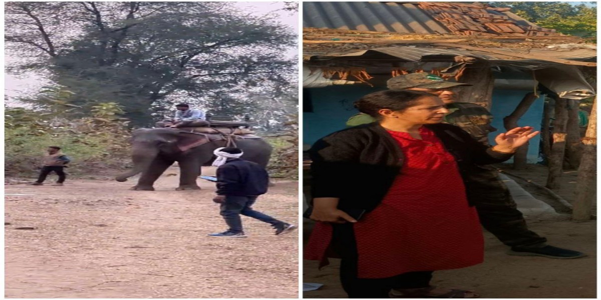 एसटीआरएफ चीफ राखी नंदा की अगुवाई में भी तेंदुआ पकड़ से बाहर, पुन: बुलाए हाथी